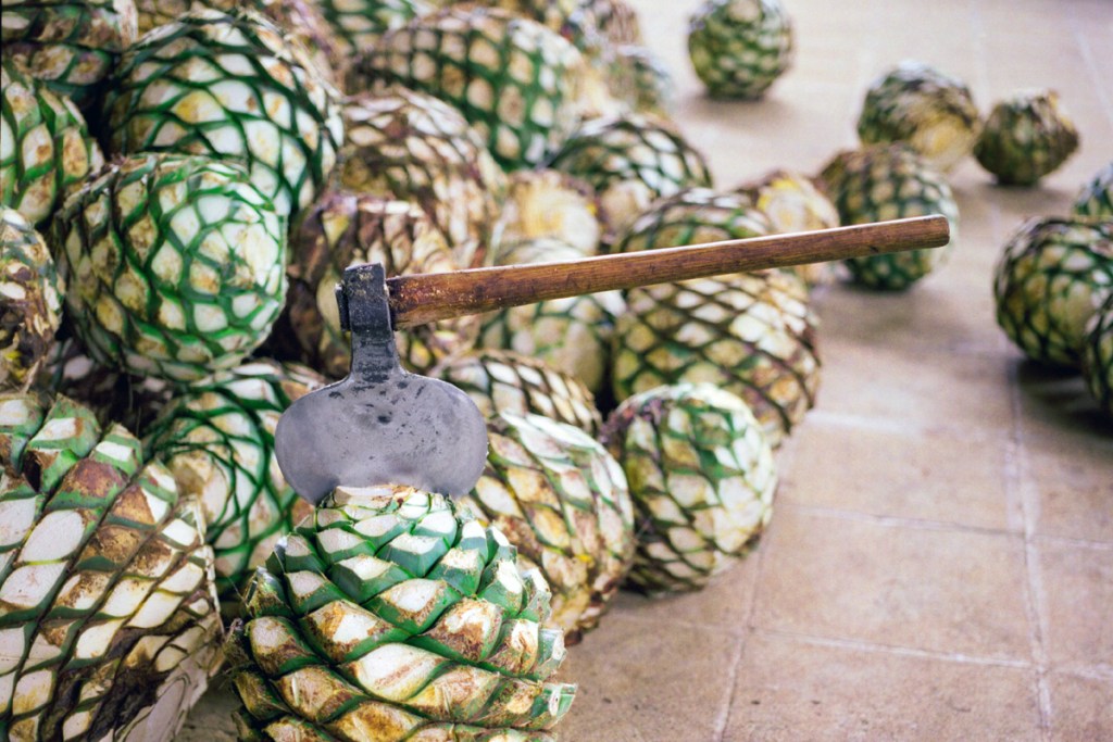 el_tesoro_tequila_hero_02-160974