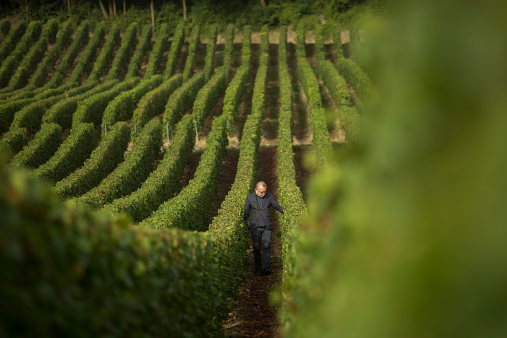 richard-geoffroy-vincent-chaperon-02-161381