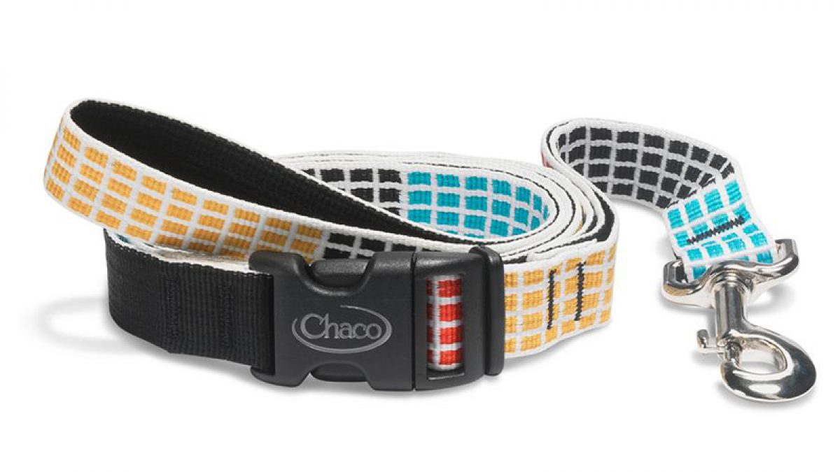 chaco dog leash