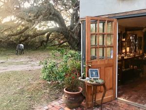 25358660_1771264686276815_429654935234697136_o