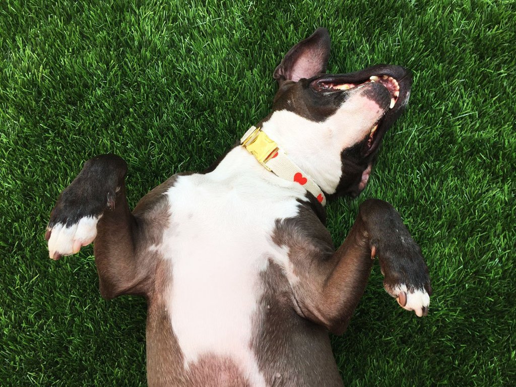 img_2644_1024x10242x