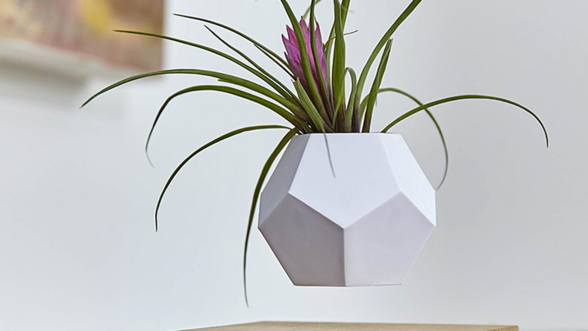 Lyfe Planter - COOL HUNTING