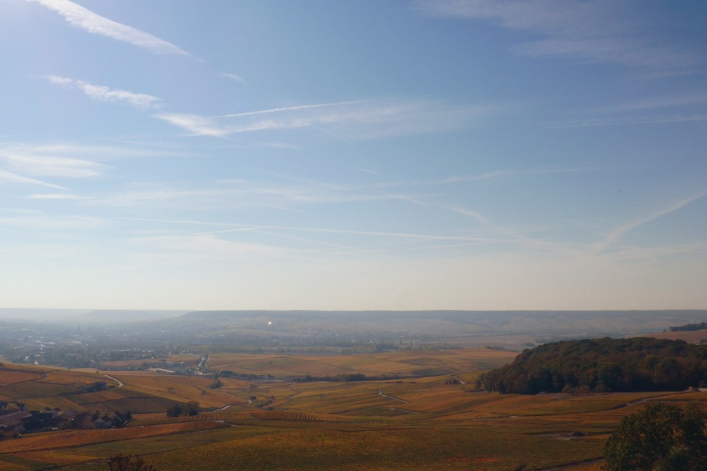 nicolas_feuillatte_champagne_05