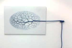 untitled-miami-rope-01