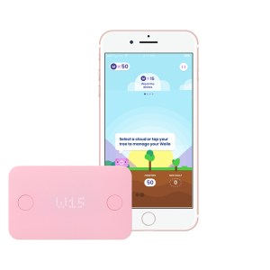 pigzbe