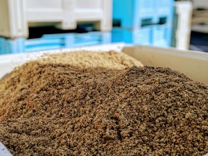 00100lportrait_00100_burst20190311131420658_cover