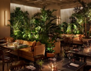 tsq-edition_the_terrace-restaunt_nikolas-koenig