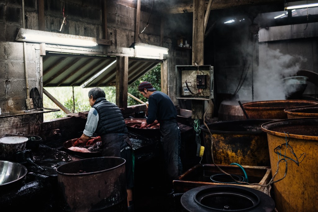 amami-oshima-joshrubin-7