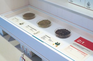 dosist-venice-shop-04