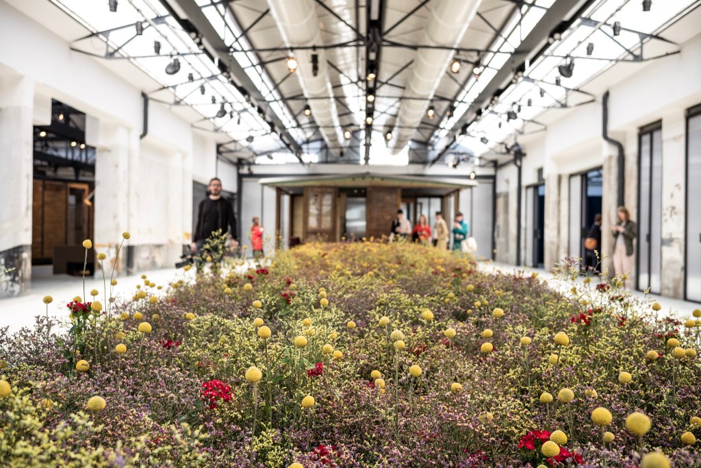 power-of-nature-mdw19-1