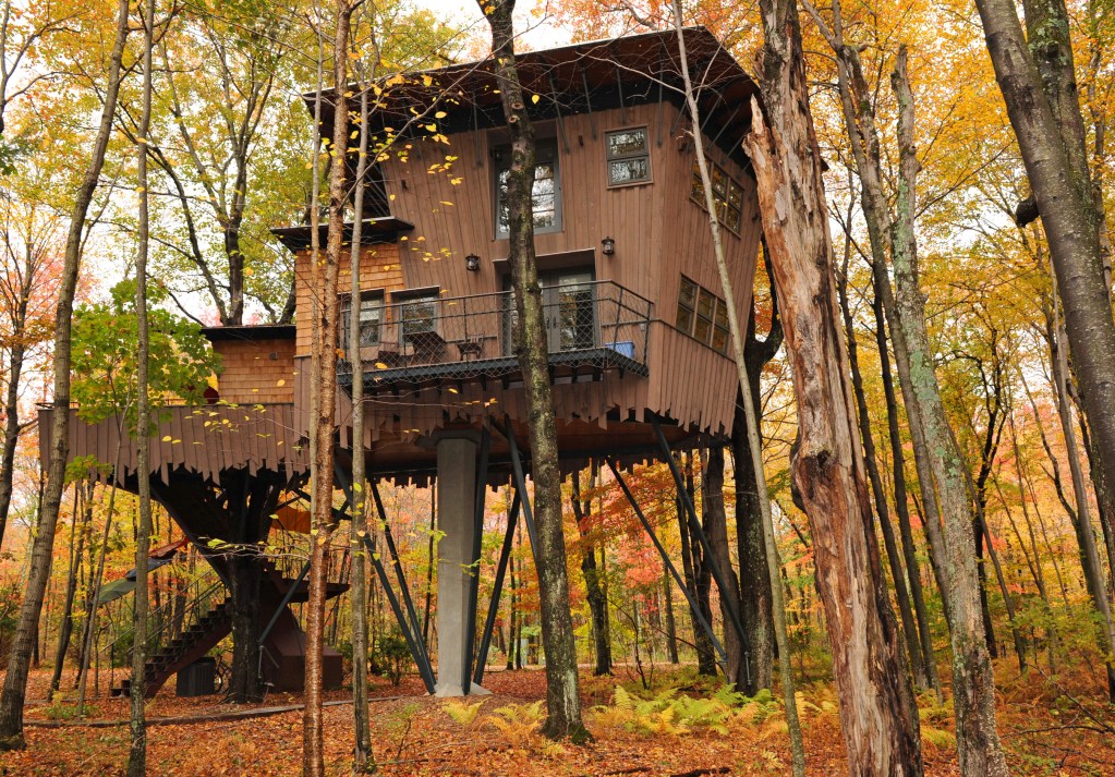 treehouse-cottage-winvian-farms