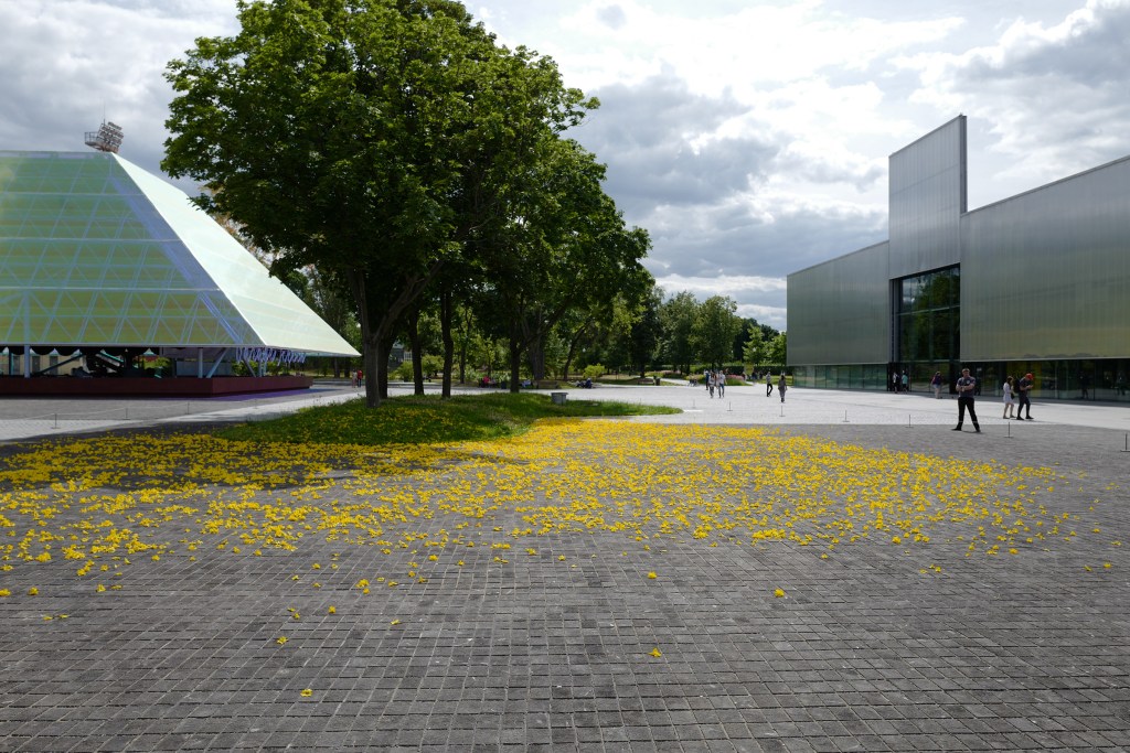 graft-garage-david-graver-hero