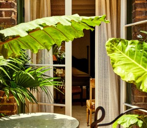 ch_peter_and_paul_new_orleans_round_1_09111825568