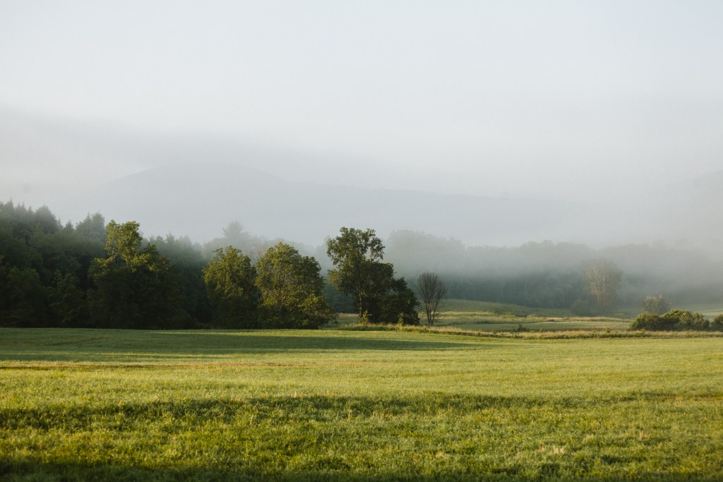 eastwind-landscape-2_michael-greco