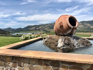 california-wine-country-paul