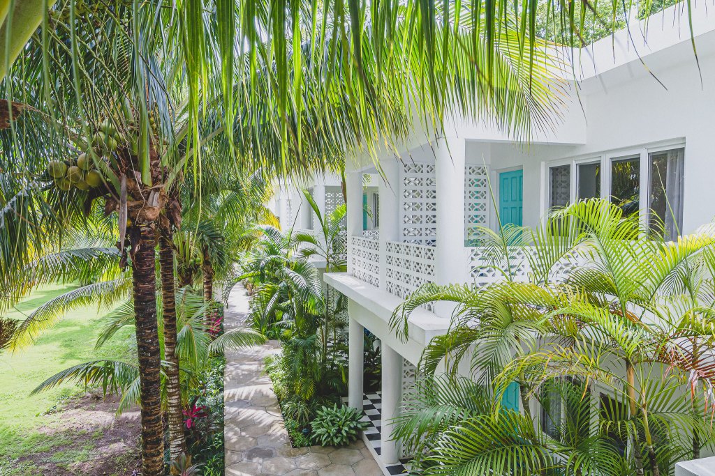 48251787762_7a84a86c95_k