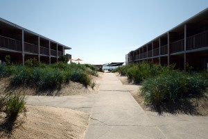 marram-montauk-02