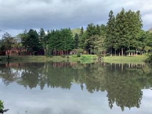 reflection-nikka-byjwolfson