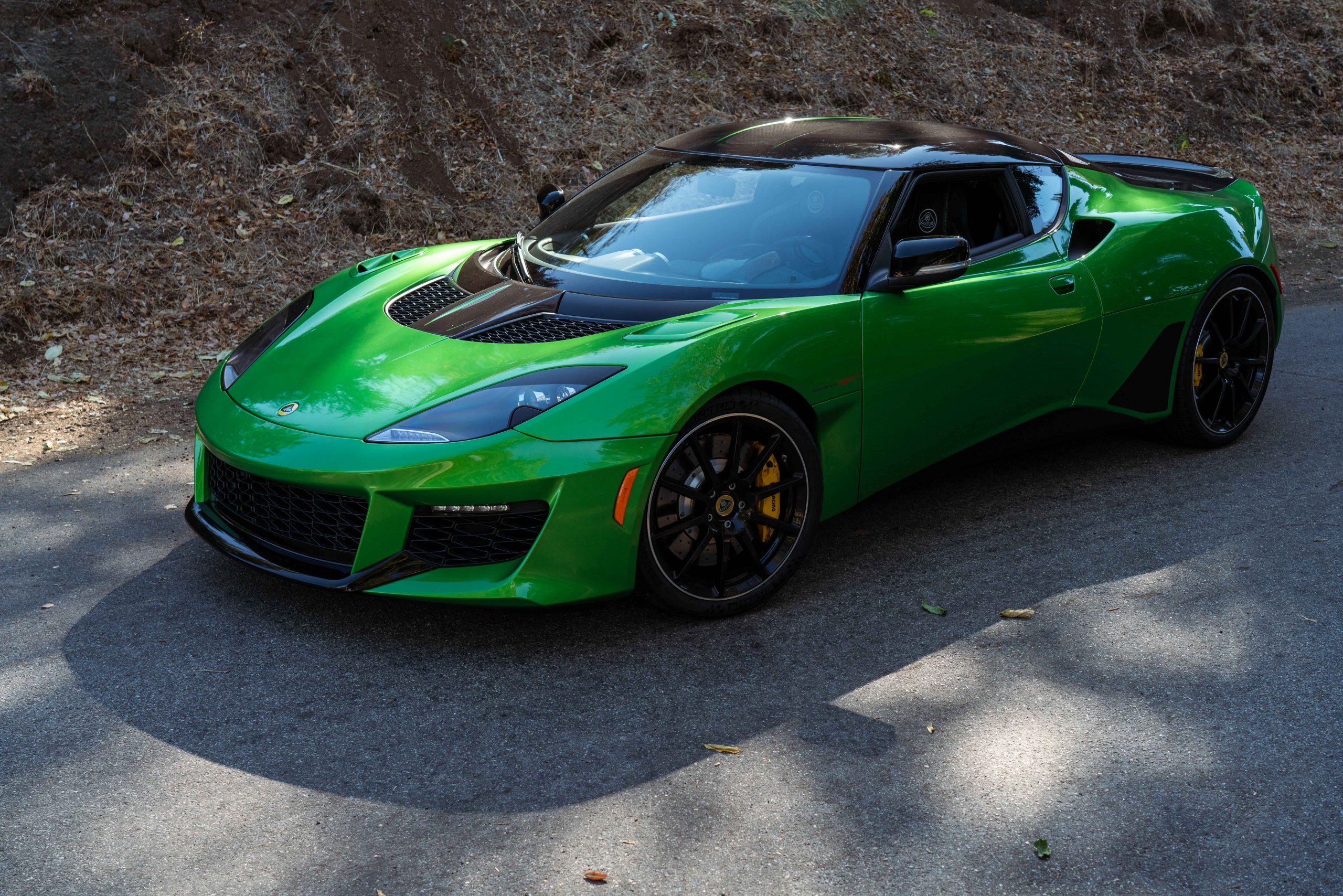 レアデック lotus レアデック lotus レアデック lotus レアデック