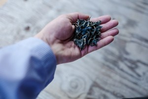 ch-japan-indigo-farm-2