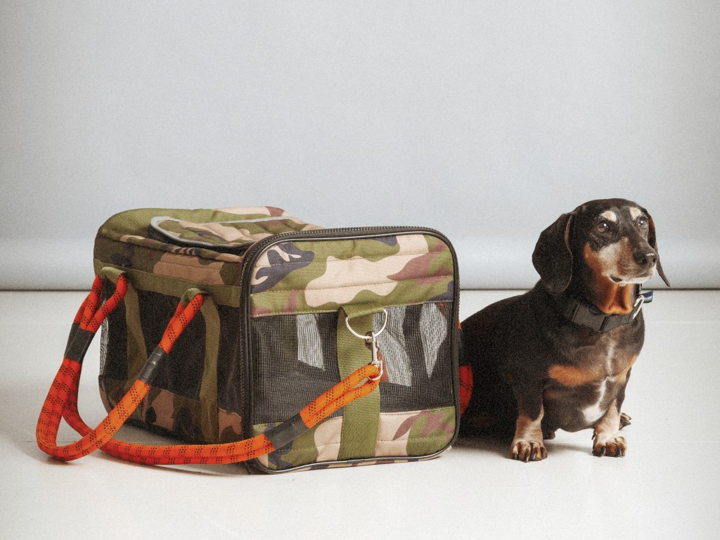 roverlund-dog-gear-01