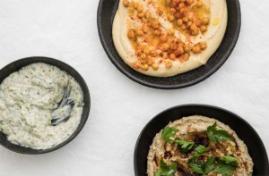 shannon-martinex-vegan-bite-02