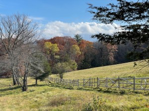 groundwork-josh-rubin-06