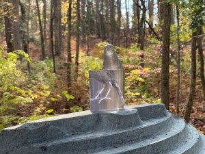 groundwork-josh-rubin-12