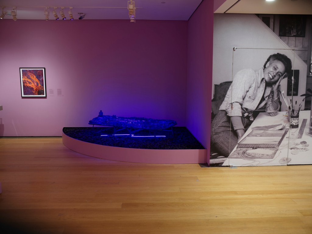 installation-viewsbetye-saar-call-and-response-september-12-2020-through-january-31-2021-engelhard-gallery-photography-by-graham-s-haber