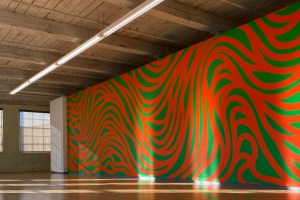 sol-lewitt-david-graver-mass-moca