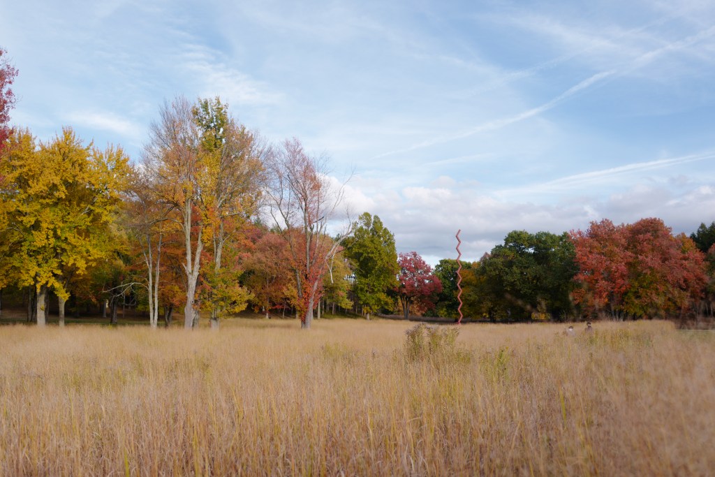 storm-king-david-graver-01