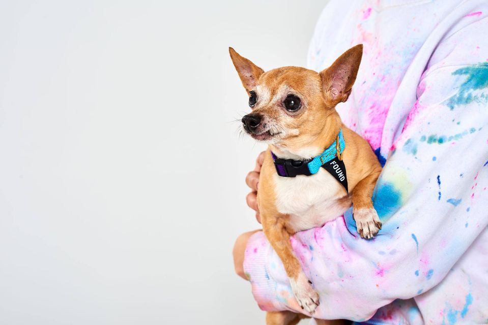 30741996_10156422583949429_5152468211114967040_o