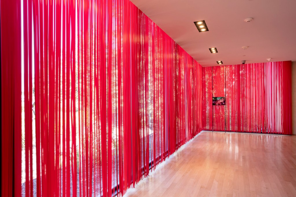diane-severin-nguyen-huntington-installation-image-photo-joshua_white-9469
