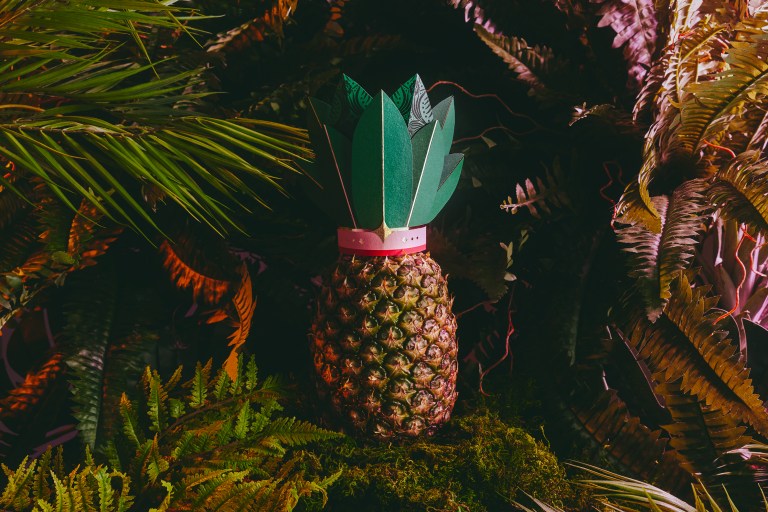 pinkglow-pineapple-1