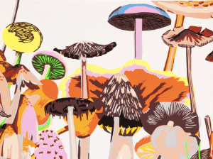 screen-shot-2020-12-14-at-5-03-33-pm