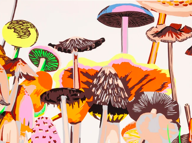 screen-shot-2020-12-14-at-5-03-33-pm