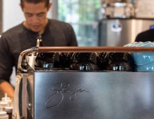 brandon-lee-bird-branch