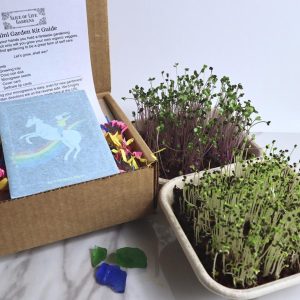 il_1588xn-2709515713_mmxh