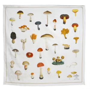 scarf_cotton_mushrooms_copy_500x_2x_1c06e059-46e6-4329-beac-4fe30efdbd58_500x2x