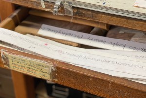 christo-jeanne-claude-alex-corda-42