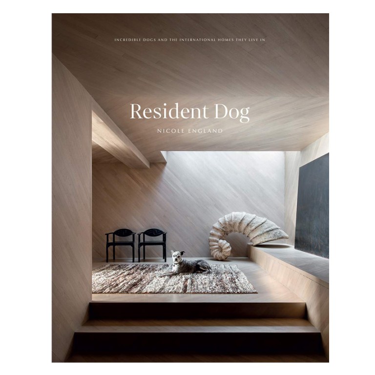 resident-dog-book-2
