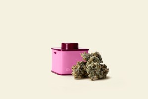 houseplant_indica_pink-moon