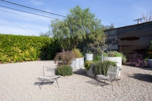 flora-animalia-by-janna-ireland-0057