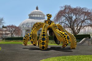 nybg_kusama_01-dancing-pumpkin-scaled