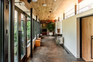 pusadees-garden-mossarchitects-7