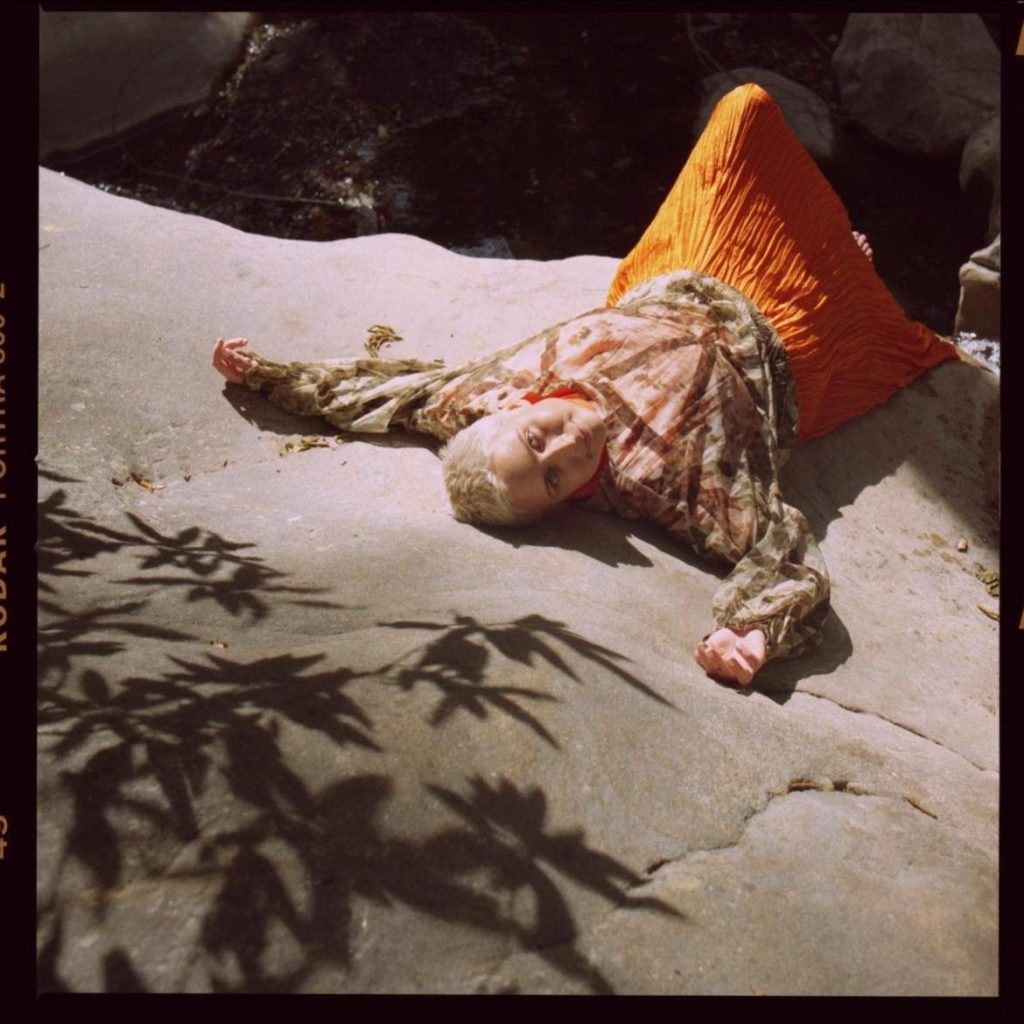 green-house-royal-fern