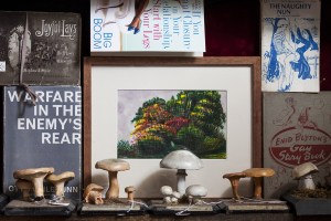 last-tuesday-society