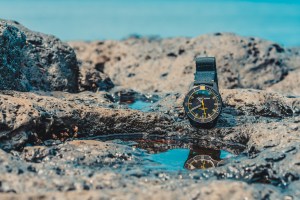 btm_azores_200803_dsc09457