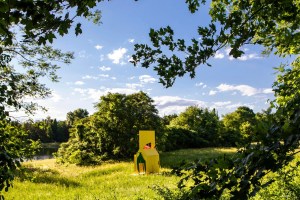 sunfair-serban-ionescu