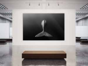 whitewall-masterprintwhitewall